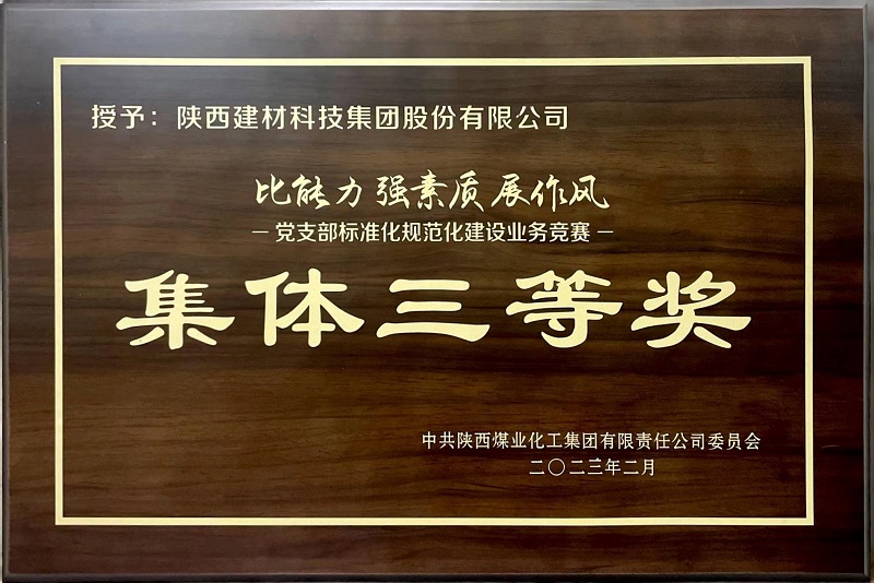 公司榮獲“黨支部標(biāo)準(zhǔn)化規(guī)范化建設(shè)業(yè)務(wù)競賽”集體三等獎