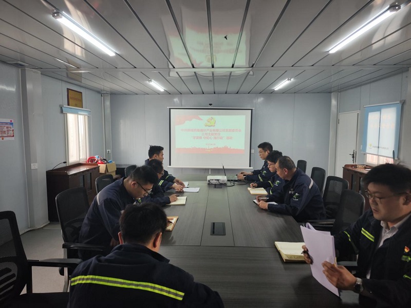 韓城昇隆公司黨支部開展“同心筑夢譜新篇 凝心聚力共提升” 三月主題黨日活動